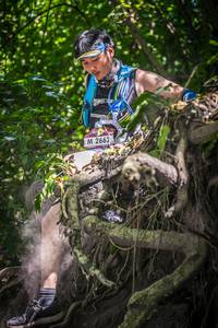 BIB: 2662, 
                            <button type="button" onclick="openModal(7066091)" class="btn btn-primary btn-sm float-right btn-popup" data-toggle="modal" data-target=".modal-high-quality">
                        <i class="fas fa-shopping-cart"></i> Add to Cart
                    </button>
                                            <button type="button" onclick="isThisMe(7066091, true)" class="btn btn-success btn-sm float-right btn-popup btn-isme hidden" data-toggle="tooltip" data-placement="bottom" title="นี่คือรูปของคุณใช่ไหม คลิกที่นี่เพื่อเอาเข้าอัลบั้ม">
                        <i class="fas fa-plus"></i> Add to album
                    </button>
                    <button type="button" onclick="isThisMe(7066091, false)" class="btn btn-warning btn-sm float-right btn-popup btn-isnotme hidden">
                        <i class="fas fa-ban"></i> Remove from album
                    </button>